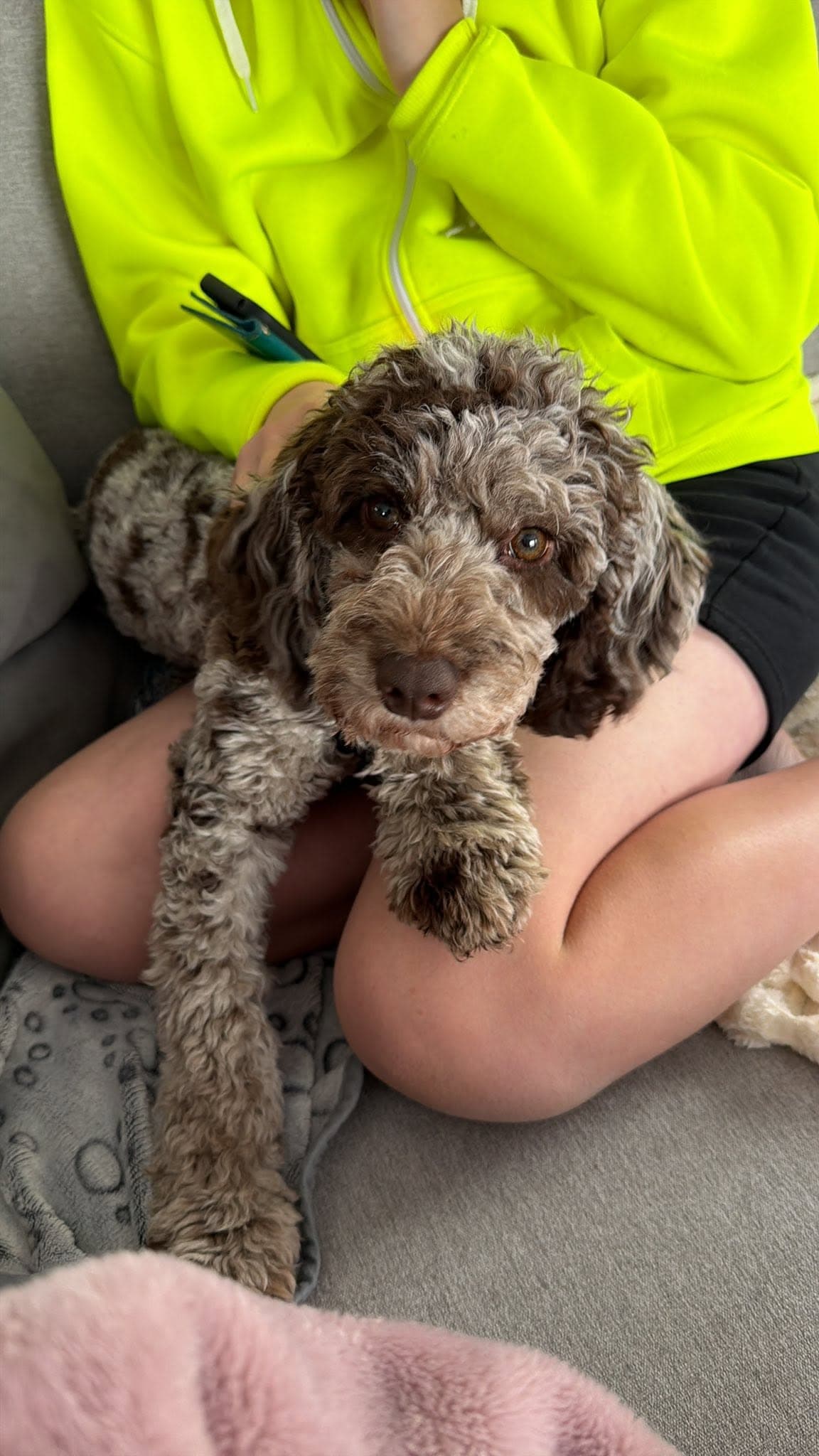 A happy dog cared for by Pup Central